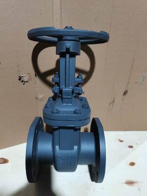 GOST Standard WCB Carbon Steel Double Flange Gate Valve with Bidirectional Sealing for Industrial Applications
