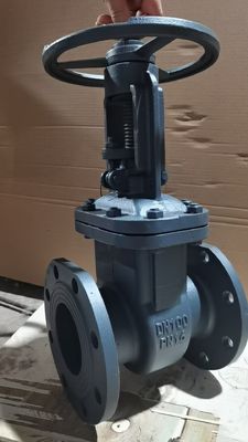 ASME B16.10 Cast Iron Gate Valve with 150 - 300 PSI Pressure Rating and API 598 Testing Standard